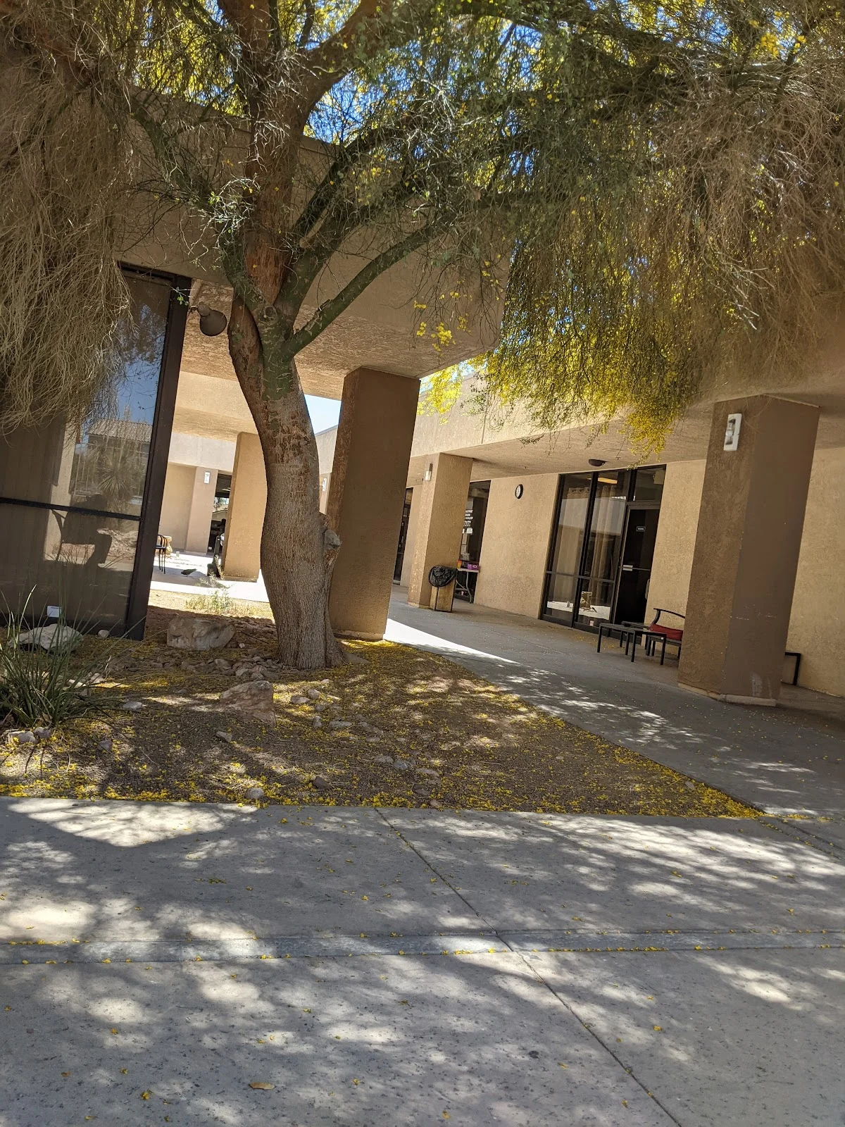 Nevada behavioral health center