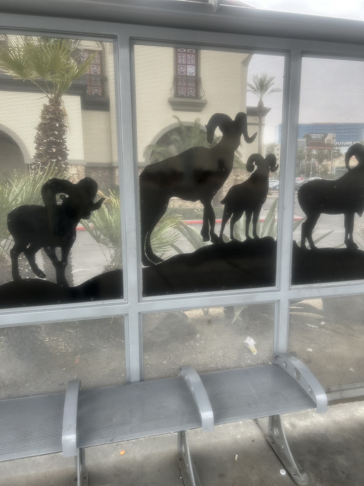 Freedom House Sober Living Las Vegas - Photo 6