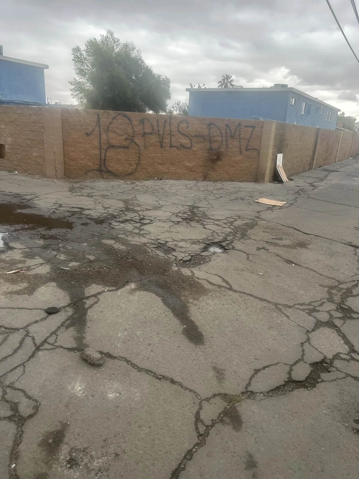 Freedom House Sober Living Las Vegas - Photo 2