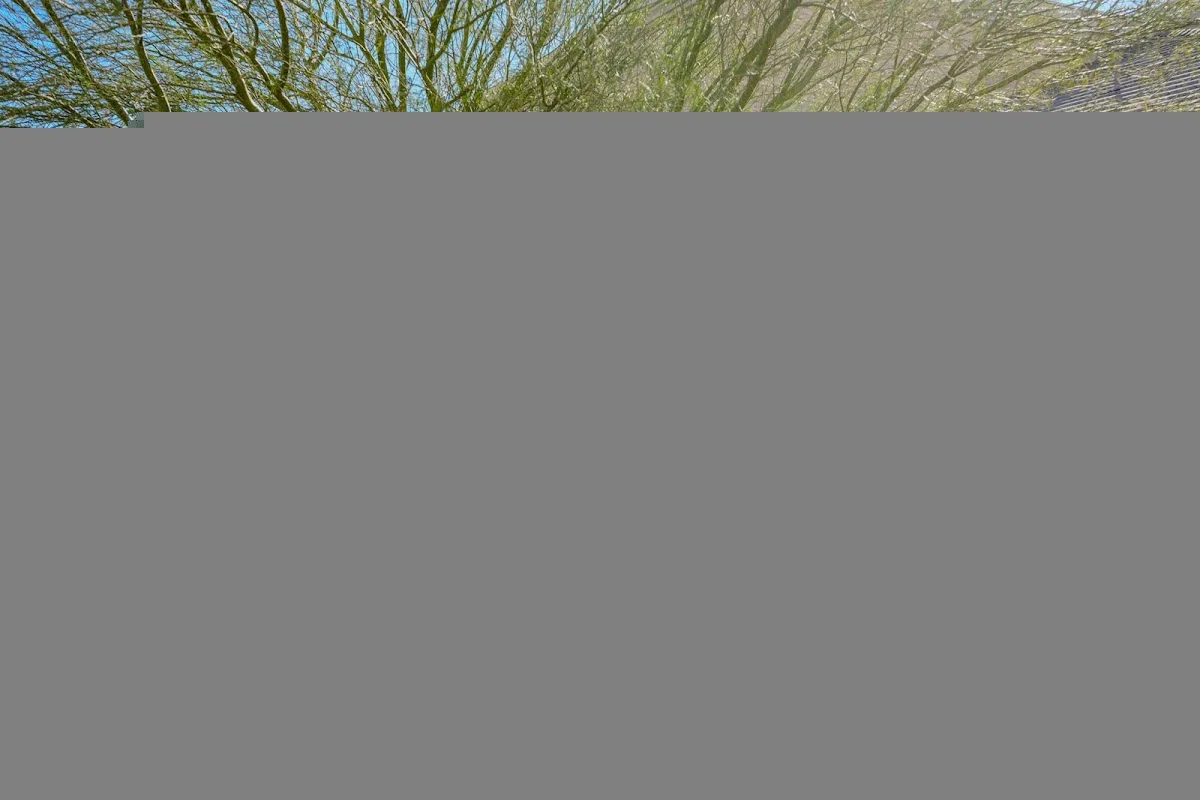 Silver State Adolescent Treatment