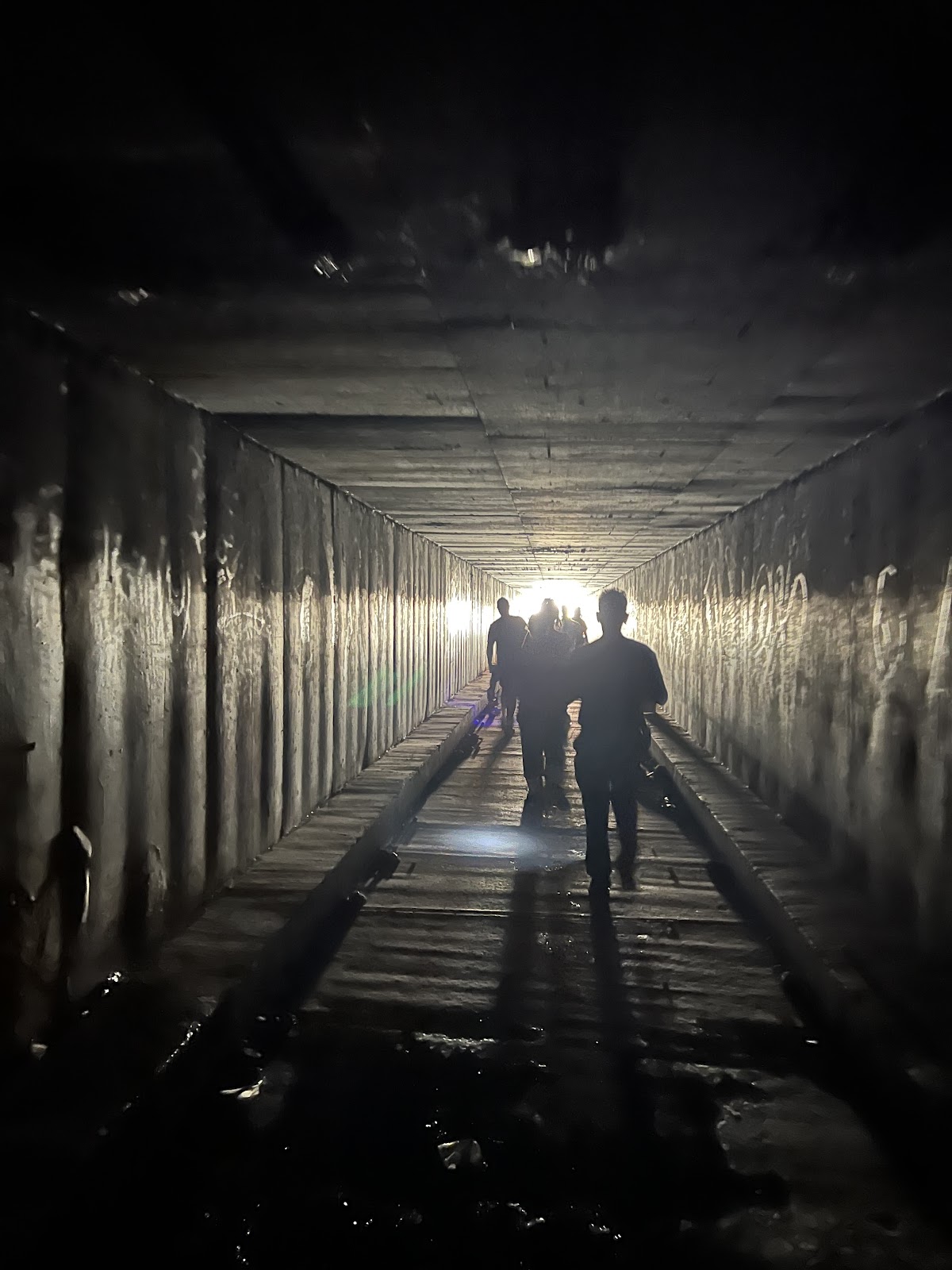 Shine A Light Foundation - Photo 1