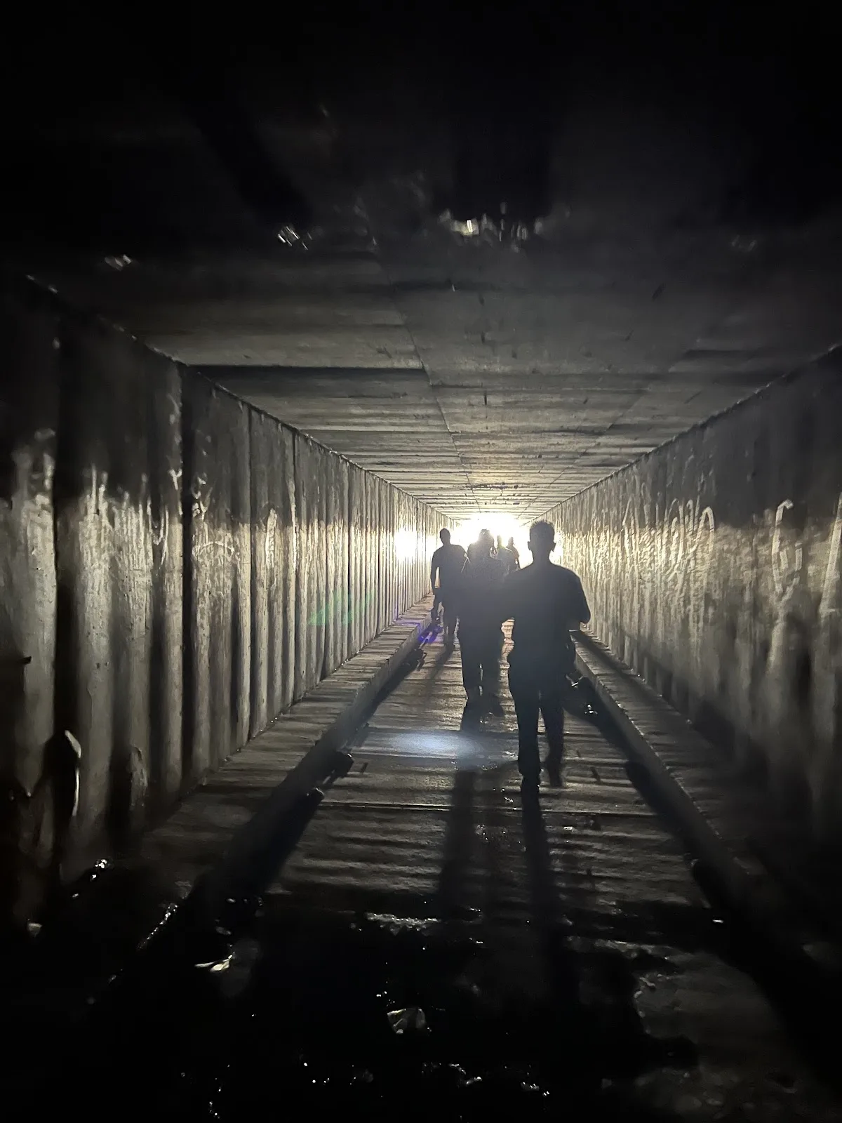 Shine A Light Foundation