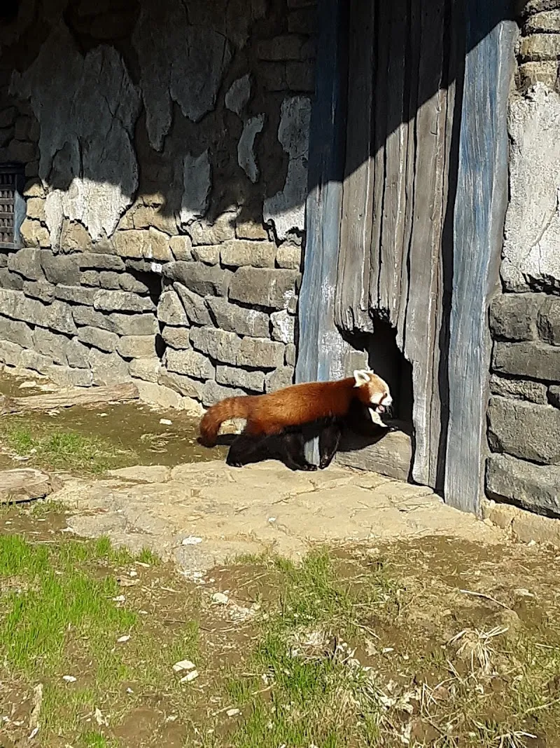 Toni's House - Photo 1