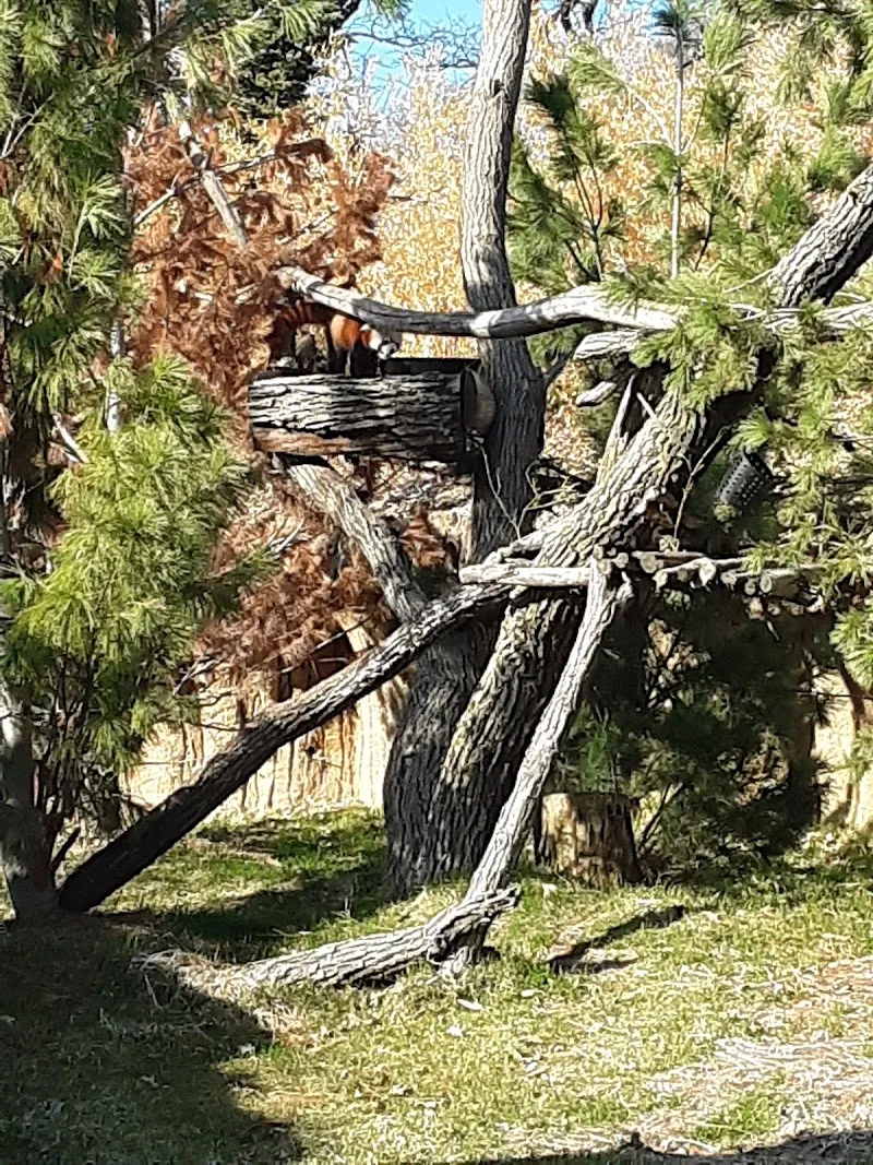 Toni's House - Photo 3