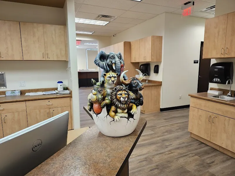 Nevada Integrated Healthcare