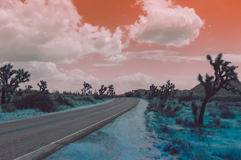 Diversity Counseling of Nevada