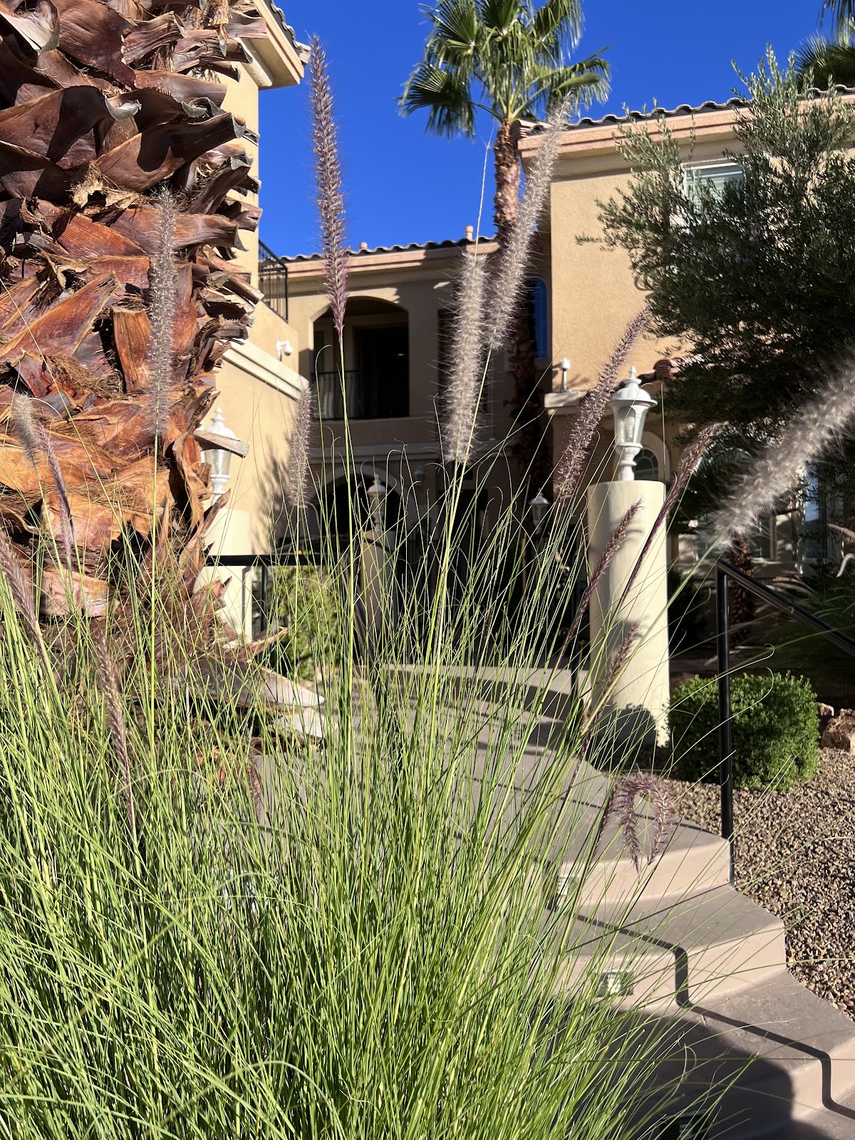 Luxe Treatment Center | Las Vegas Drug Rehab - Photo 4