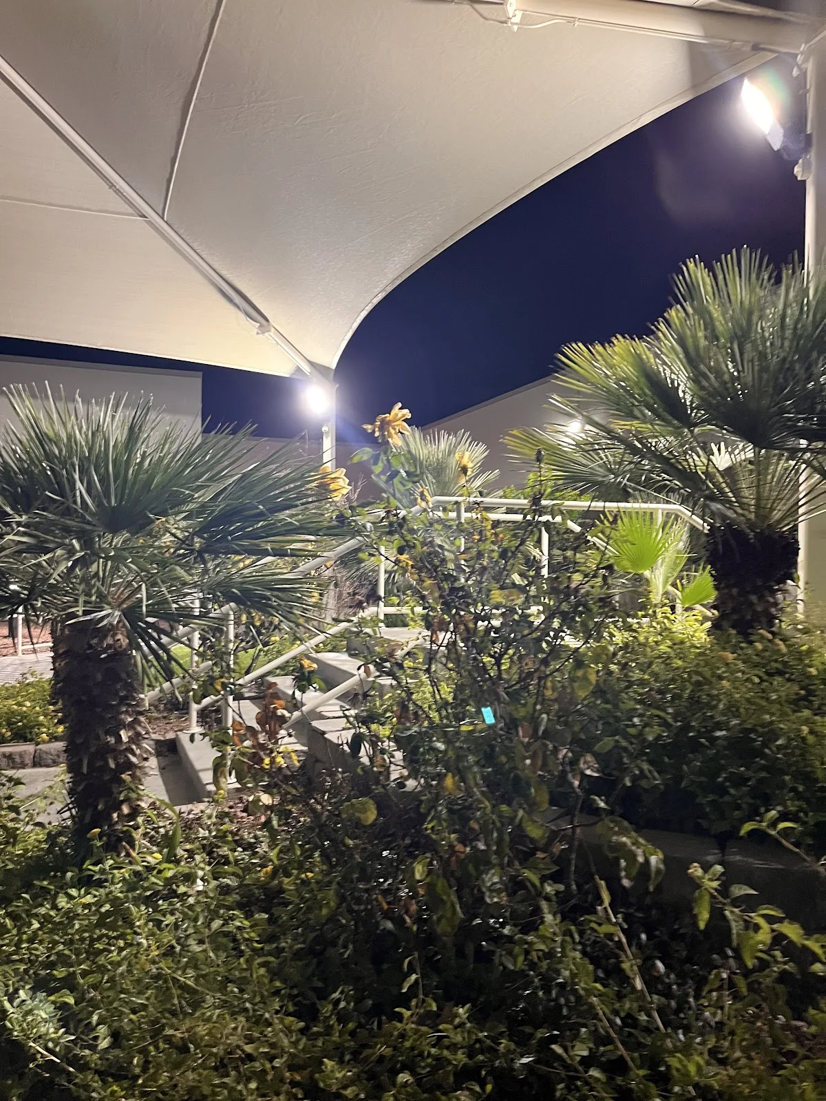 Encompass Health Rehabilitation Hospital of Las Vegas - Photo 4